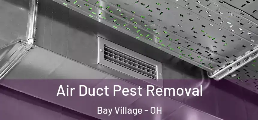  Air Duct Pest Removal Bay Village - OH
