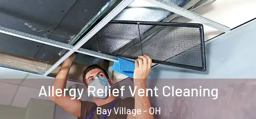  Allergy Relief Vent Cleaning Bay Village - OH