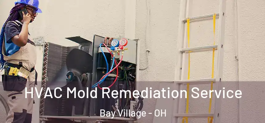  HVAC Mold Remediation Service Bay Village - OH