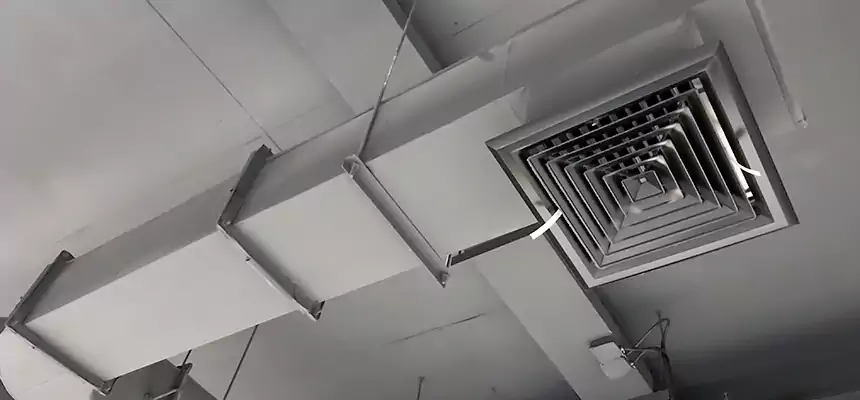 Our Pest Removal From Ducts Services in Bay Village, OH