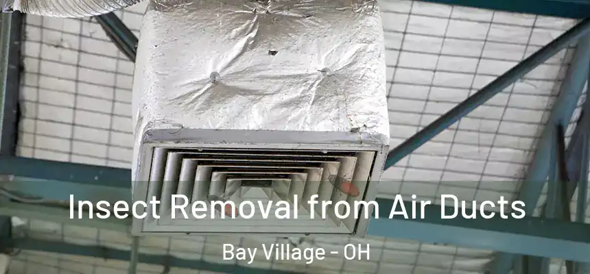  Insect Removal from Air Ducts Bay Village - OH