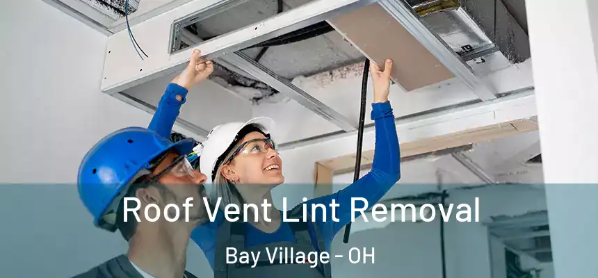  Roof Vent Lint Removal Bay Village - OH