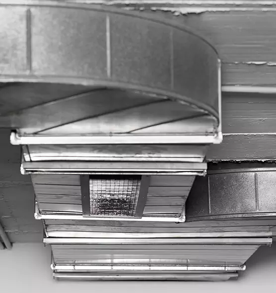 Professional Air Duct Pest Removal in Bay Village, OH