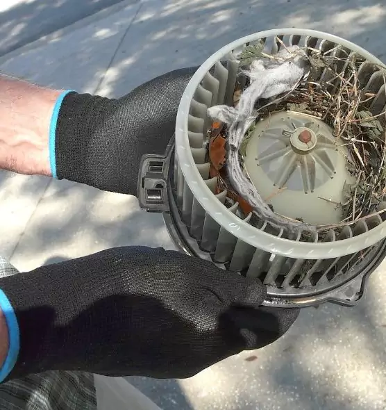 About Air Duct Rat Removal in Bay Village, OH