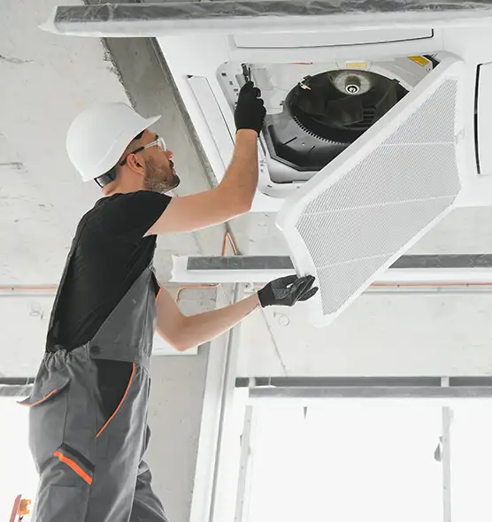 About Air Duct Rodent Removal in Bay Village, OH