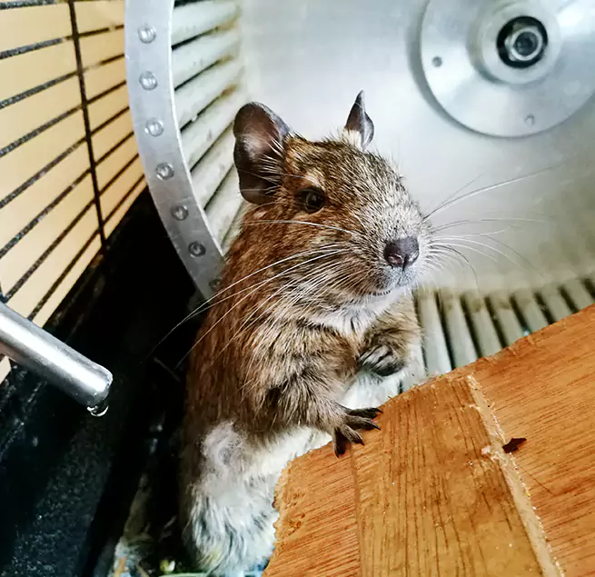 Why Homeowners & Businesses Trust Us Bay Village, OH?